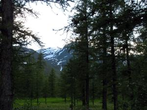 20140728-193208.JPG