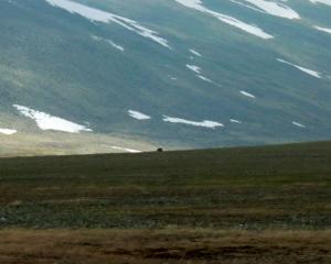20140803-113147.JPG