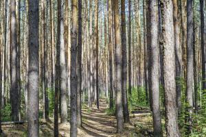 Новая панорама4.jpg