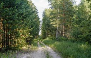 Новая панорама9.jpg