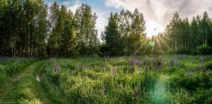 Новая панорама10.jpg