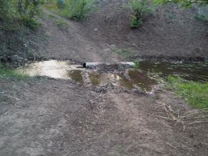 08-Морозкин.jpg