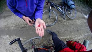 DSC01072.JPG