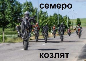 семеро козлят.jpg