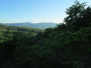 IMG_1519.JPG