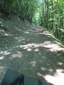 IMG_1566.JPG