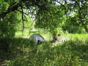 IMG_3525.JPG