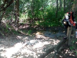 IMG_20160606_102555.jpg