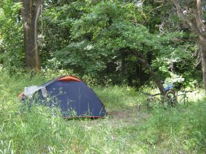 IMG_3524.JPG