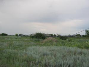 IMG_3485.JPG