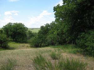IMG_3500.JPG
