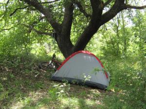 IMG_3523.JPG