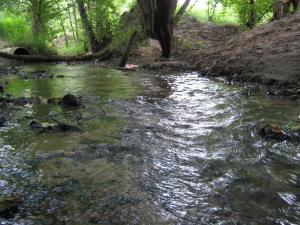 IMG_3526.JPG