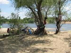 IMG_3542.JPG