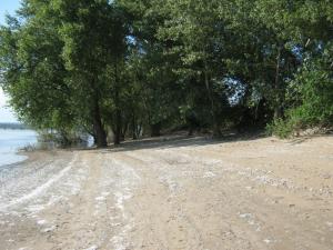 IMG_3437.JPG