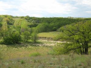 IMG_3346.JPG