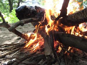 IMG_3532.JPG