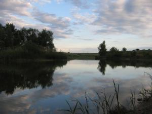 IMG_3479.JPG