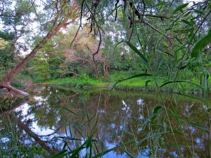 IMG_5466M.JPG