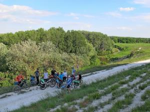 IMG_5455M.JPG