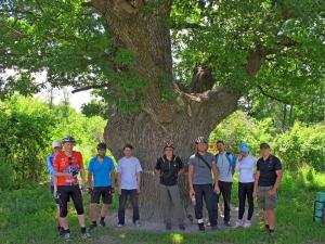 IMG_5437M.JPG