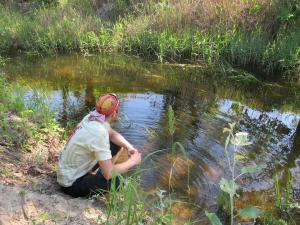 IMG_5352M.JPG