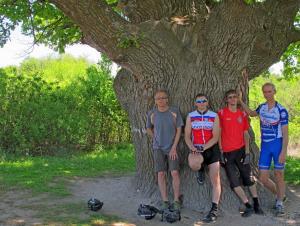 IMG_2859M.JPG