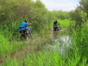 IMG_5526M.JPG