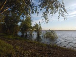 IMG_20170622_192750.jpg
