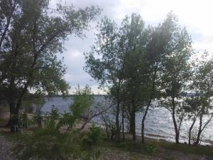 IMG_20170617_162722.jpg