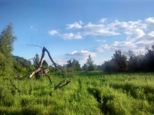 IMG_20170625_183724_HDR.jpg