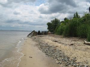 IMG_4851.JPG