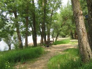 IMG_4927.JPG