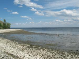 IMG_4765.JPG