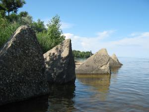 IMG_4947.JPG