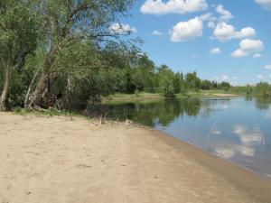 IMG_4910.JPG