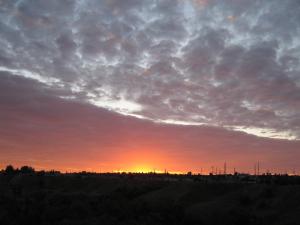 IMG_4864.JPG