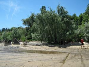 IMG_4802.JPG