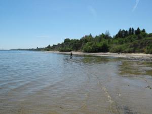 IMG_4810.JPG