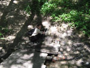 IMG_4771.JPG