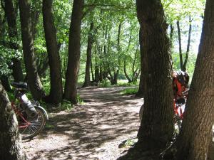 IMG_4772.JPG