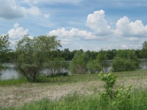 IMG_4930.JPG