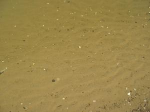 IMG_4912.JPG