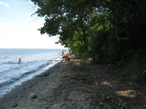 IMG_4955.JPG