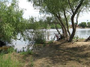 IMG_4932.JPG