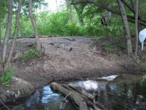 IMG_4781.JPG