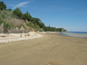 IMG_4801.JPG