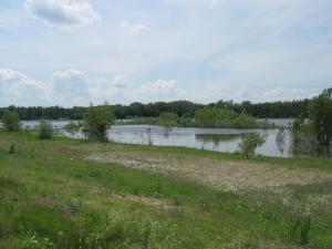IMG_4929.JPG