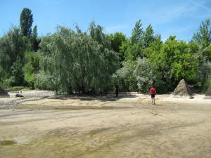 IMG_4804.JPG