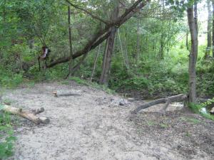 IMG_4785.JPG